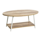Household Essentials Coffee Table with Storage Shelf