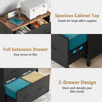 2-Drawer File Cabinet, Lateral Filing Cabinet, Office File Cabinet